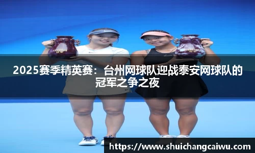 2025赛季精英赛:台州网球队迎战泰安网球队的冠军之争之夜